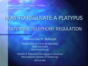 HOW TO REGULATE A PLATYPUS INTERNET TELEPHONY REGULATION Professor Lee W. McKnight