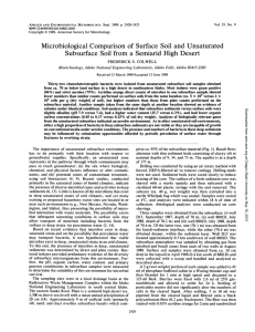Microbiological Comparison Desert of Surface Soil Unsaturated