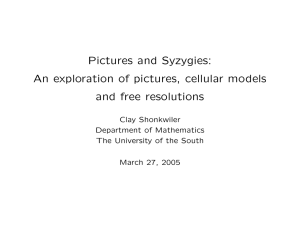 Pictures and Syzygies: An exploration of pictures, cellular models and free resolutions