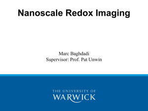 Nanoscale Redox Imaging Marc Baghdadi Supervisor: Prof. Pat Unwin