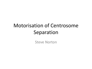 Motorisation of Centrosome Separation Steve Norton