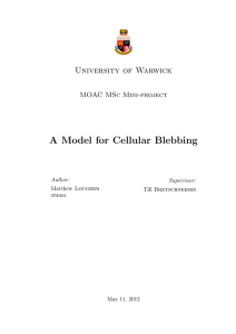 A Model for Cellular Blebbing University of Warwick MOAC MSc Mini-project Author: