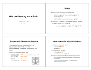 Brain Glucose Sensing in the Brain Seminar 2012 •