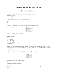 Introduction to MATLAB Introductory Problems