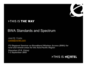 BWA Standards and Spectrum José M. Costa