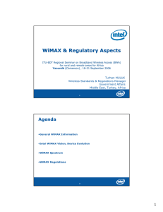 WiMAX &amp; Regulatory Aspects