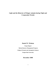 Light and the Behavior of Pelagic Animals during Night and