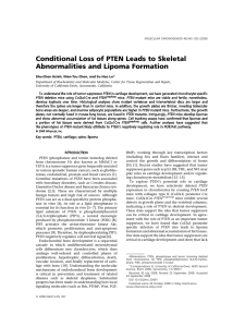 Conditional Loss of PTEN Leads to Skeletal Abnormalities and Lipoma Formation