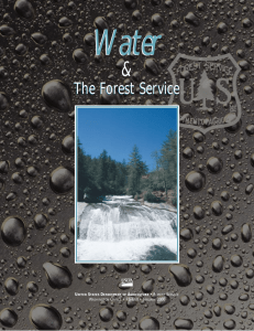 Water &amp; The Forest Service U