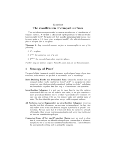 The classification of compact surfaces Worksheet