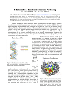 A Mathematical Model for Nucleosome Positioning