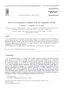 Flow in a symmetric channel with an expanded section T. Mullin