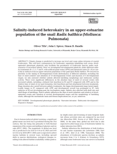 Salinity-induced heterokairy in an upper-estuarine Radix balthica Pulmonata) O
