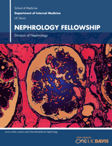 NEPHROLOGY FELLOWSHIP Division of Nephrology School of Medicine UC Davis