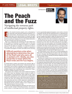 E The Peach and the Fuzz legal briefs