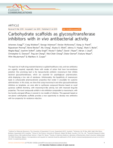 Carbohydrate scaffolds as glycosyltransferase inhibitors with in vivo antibacterial activity ARTICLE