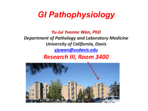 GI Pathophysiology  Research III, Room 3400 Yu-Jui Yvonne Wan, PhD