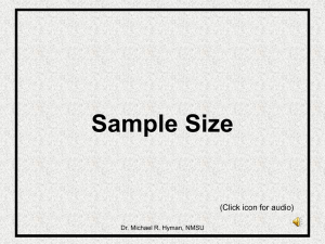 Sample Size (Click icon for audio) Dr. Michael R. Hyman, NMSU