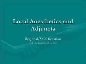 Local Anesthetics and Adjuncts Regional/VOS Rotation (Slides by Randall Malchow, MD)