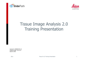 Tissue Image Analysis 2.0 Training Presentation Control #: 13MAN1231.A1 Effective Date: 12-Jul-12