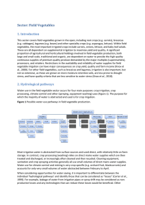 Sector: Field Vegetables  1. Introduction 
