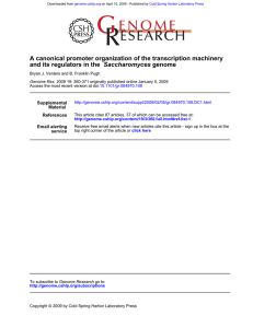 A canonical promoter organization of the transcription machinery genome Saccharomyces