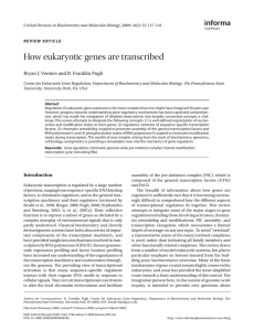 How eukaryotic genes are transcribed and B