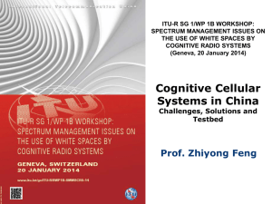 ITU-R SG 1/WP 1B WORKSHOP: SPECTRUM MANAGEMENT ISSUES ON COGNITIVE RADIO SYSTEMS