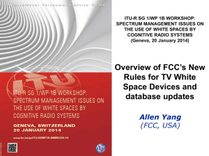 ITU-R SG 1/WP 1B WORKSHOP: SPECTRUM MANAGEMENT ISSUES ON COGNITIVE RADIO SYSTEMS