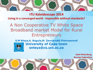 A Non Cooperative TV White Space Broadband market Model for Rural