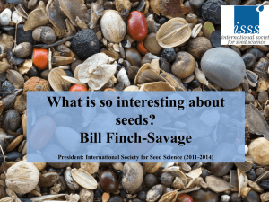 What is so interesting about seeds? Bill Finch-Savage