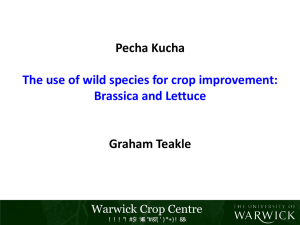 Pecha Kucha Graham Teakle The use of wild species for crop improvement: