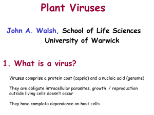 Plant Viruses  1. What is a virus? John A. Walsh,