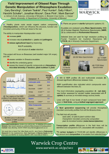 Yield Improvement of Oilseed Rape Through Genetic Manipulation of Rhizosphere Exudation