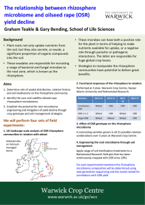 The relationship between rhizosphere microbiome and oilseed rape (OSR) yield decline