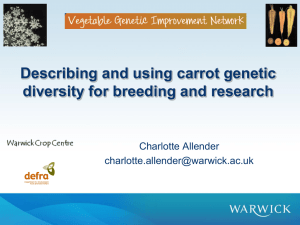 Describing and using carrot genetic diversity for breeding and research Charlotte Allender