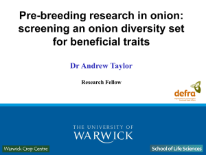 Pre-breeding research in onion: screening an onion diversity set for beneficial traits