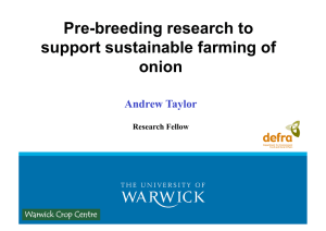 Pre-breeding research to support sustainable farming of onion Andrew Taylor