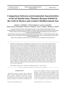 Comparison between environmental characteristics of larval bluefin tuna Thunnus thynnus