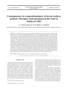 Consequences of a superabundance of larval walleye pollock Alaska in 1981 Theragra chalcogramma