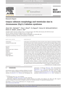 Corpus callosum morphology and ventricular size in chromosome 22q11.2 deletion syndrome