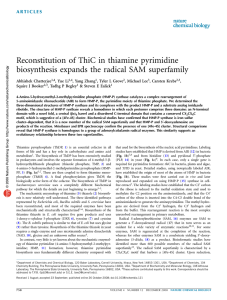Reconstitution of ThiC in thiamine pyrimidine