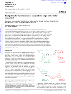 PAPER Energy transfer cassettes in silica nanoparticles target intracellular organelles† Organic &amp;