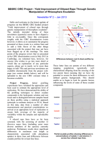 BBSRC CIRC Project : Yield Improvement of Oilseed Rape Through... Manipulation of Rhizosphere Exudation