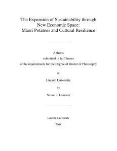 The Expansion of Sustainability through New Economic Space: