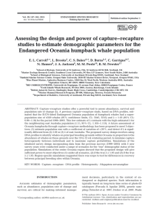 Assessing the design and power of capture−recapture