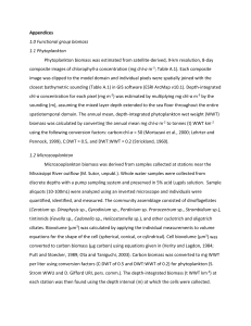 Appendices   1.0 Functional group biomass  1.1 Phytoplankton  Phytoplankton biomass was estimated from satellite‐derived, 9‐km resolution, 8‐day 