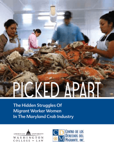 PICKED APART The Hidden Struggles Of Migrant Worker Women