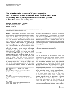 The mitochondrial genomes of Euphausia pacifica