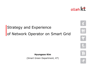 Strategy and Experience of Network Operator on Smart Grid u